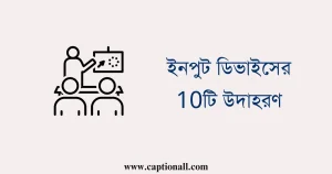 ইনপুট ডিভাইসের 10টি উদাহরণ