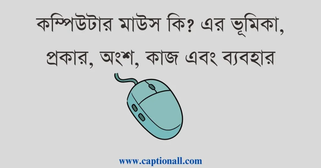 কম্পিউটার মাউস কি