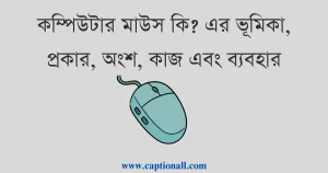 কম্পিউটার মাউস কি