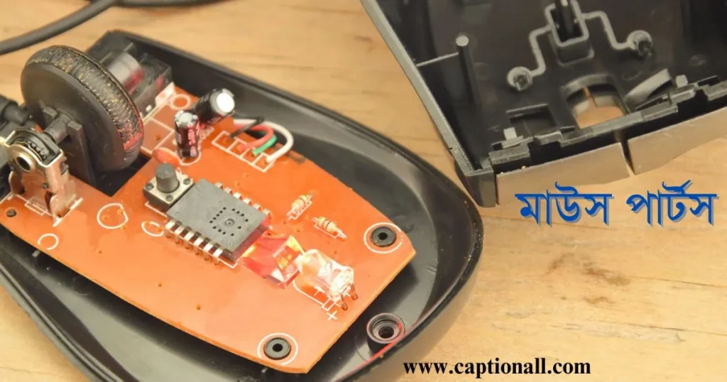 মাউস পার্টস