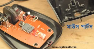 মাউস পার্টস