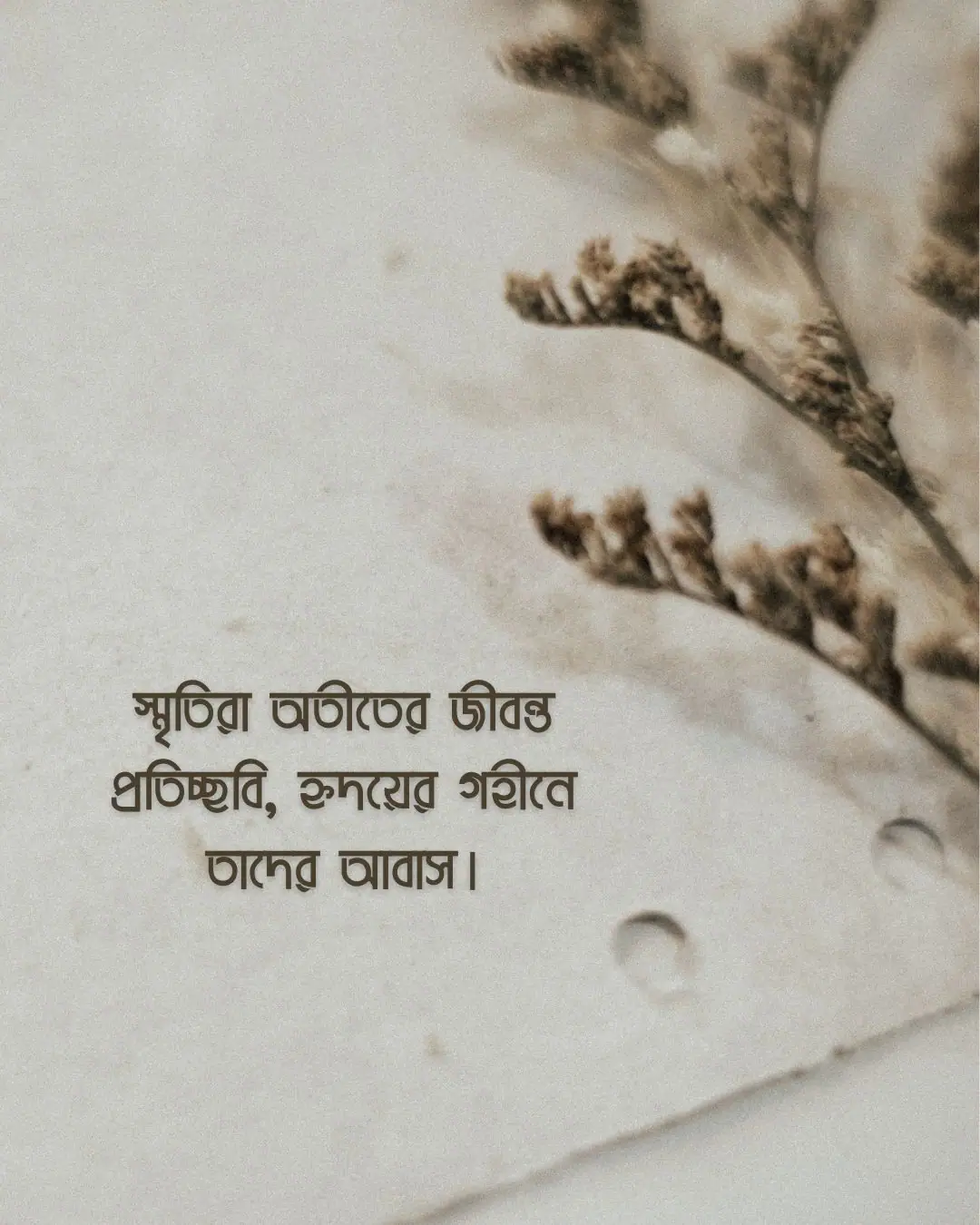 অতীত নিয়ে ক্যাপশন ও ছবি ১