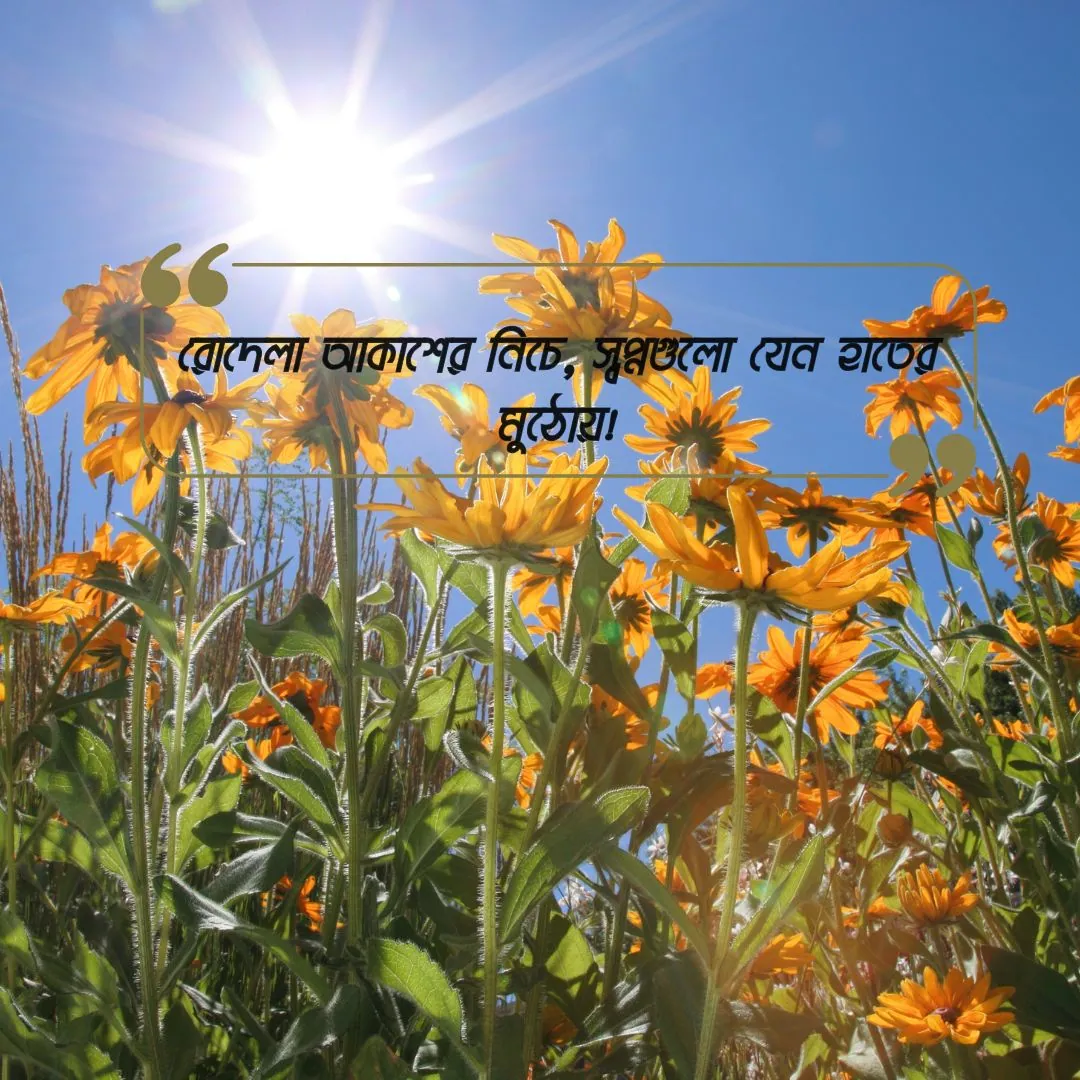 রোদেলা আকাশ নিয়ে ক্যাপশন ছবি ১