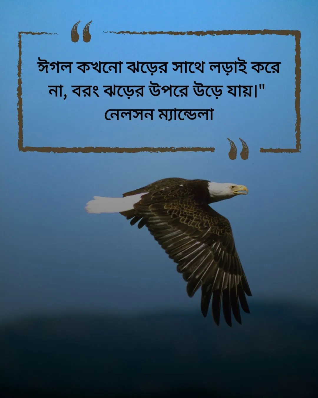ঈগল নিয়ে উক্তি ও ছবি