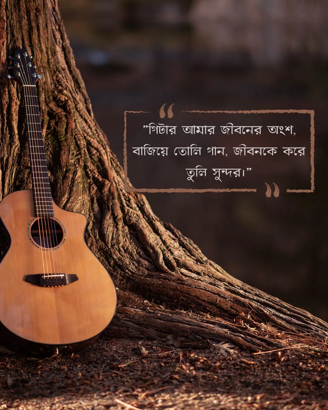 গিটার নিয়ে ক্যাপশন ও ছবি ৪