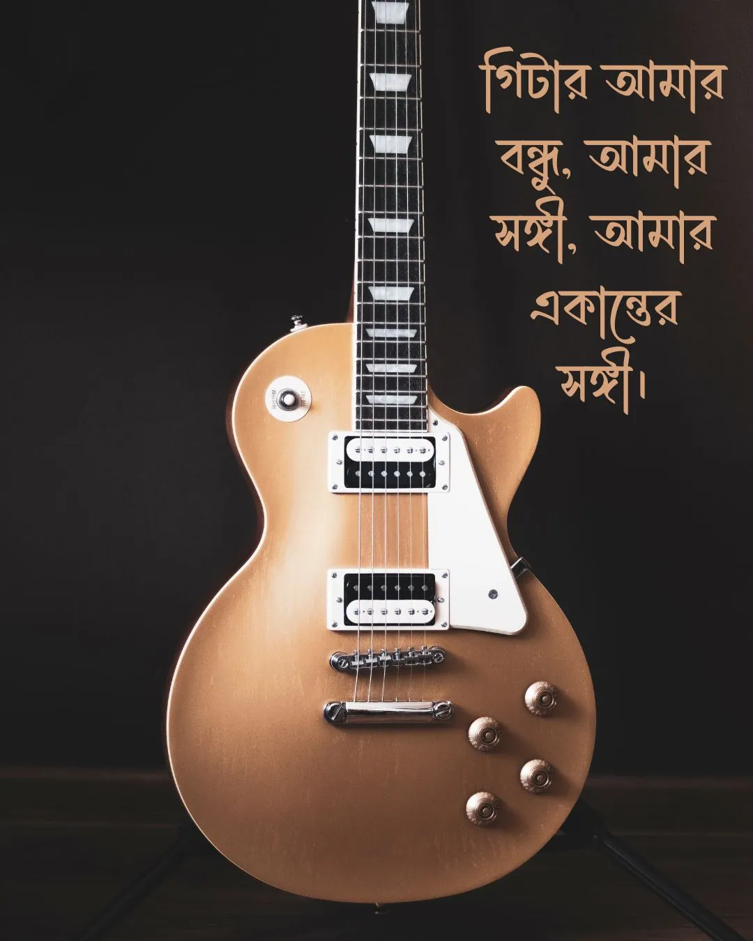 গিটার নিয়ে ছোট ক্যাপশন সাথে ছবি 5