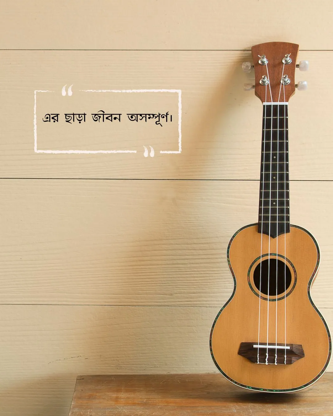 গিটার নিয়ে স্ট্যাটাস ও ছবি ৩