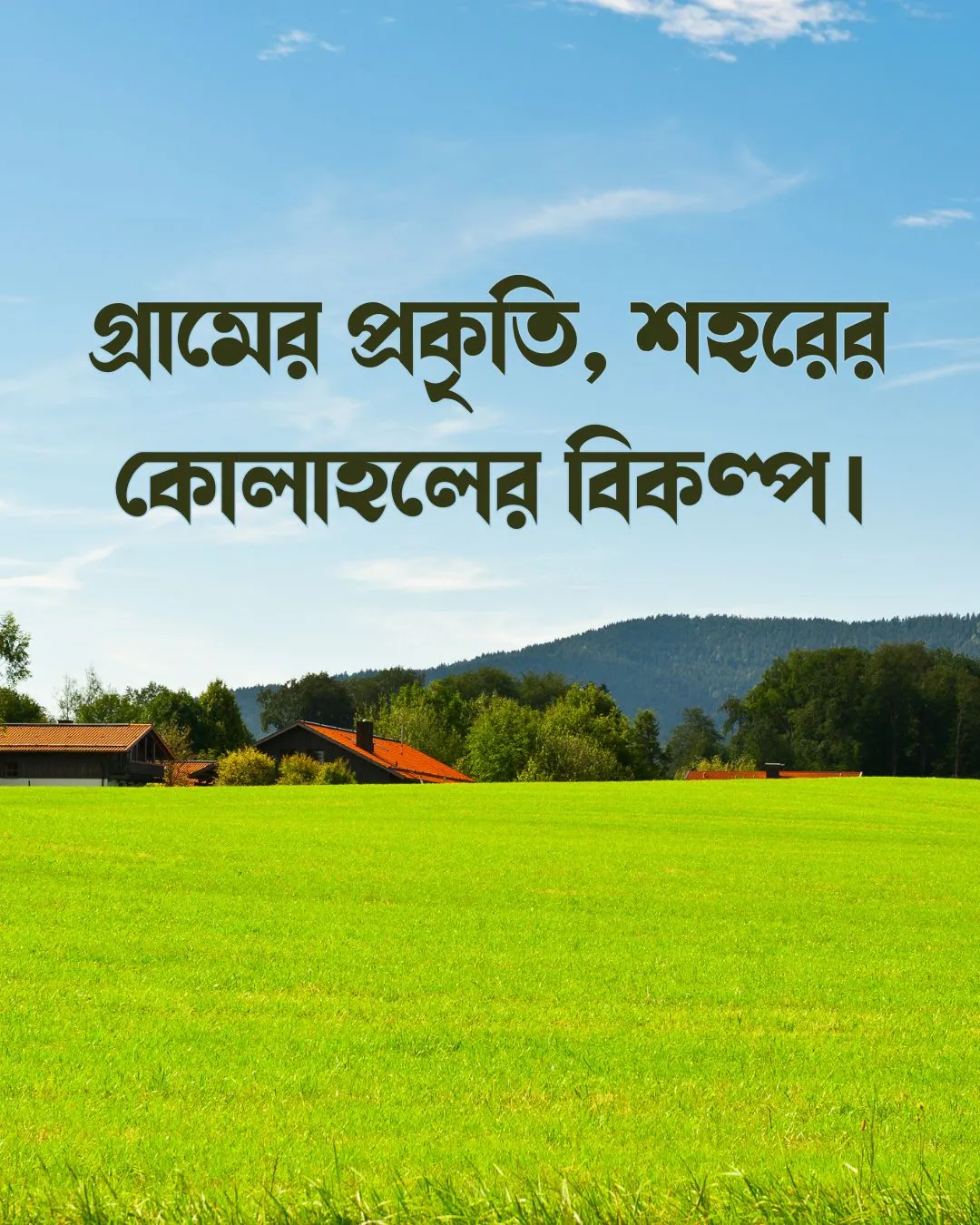 গ্রামের প্রকৃতি নিয়ে ক্যাপশন সাথে ছবি ২