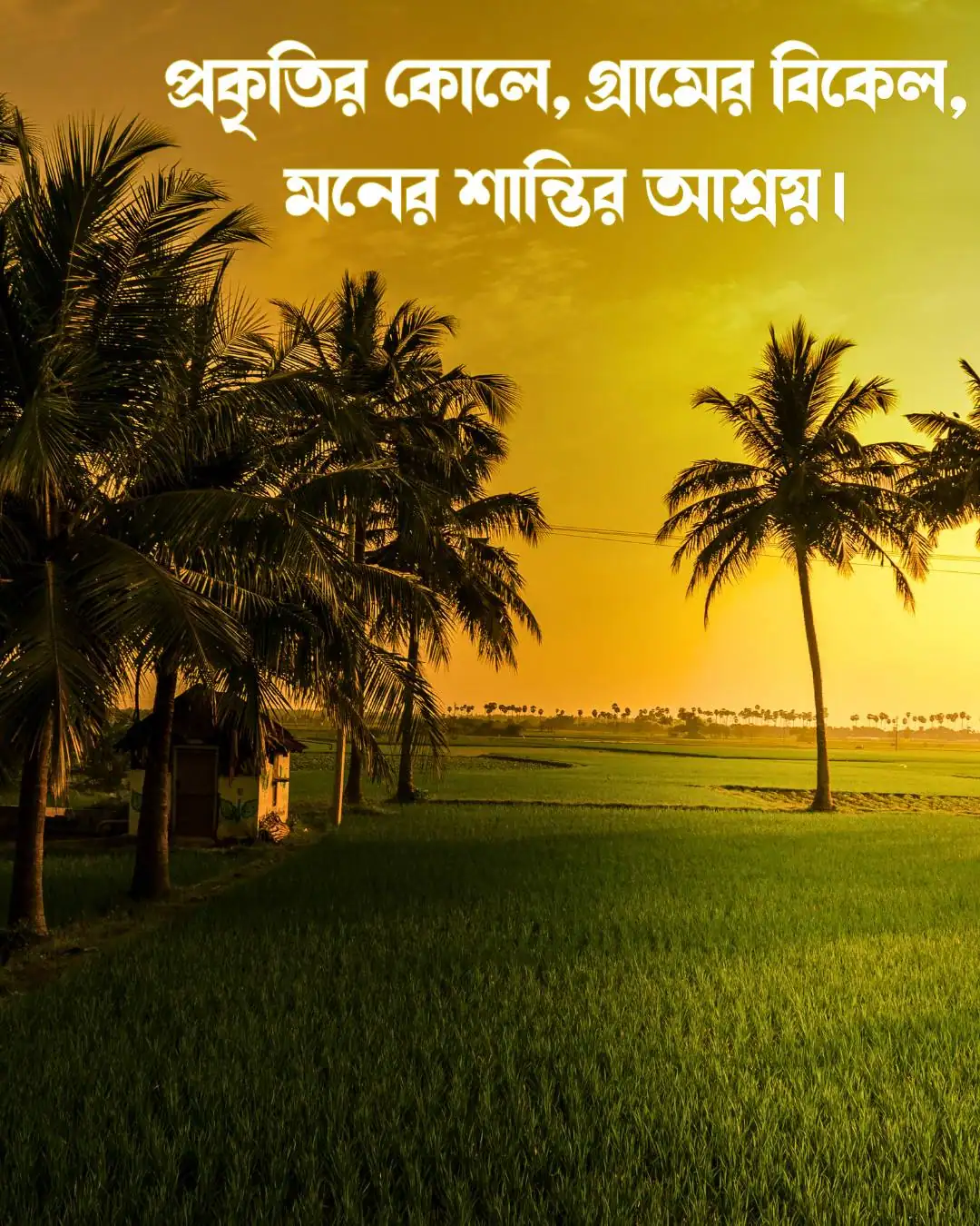 গ্রামের বিকেলের আবেগ