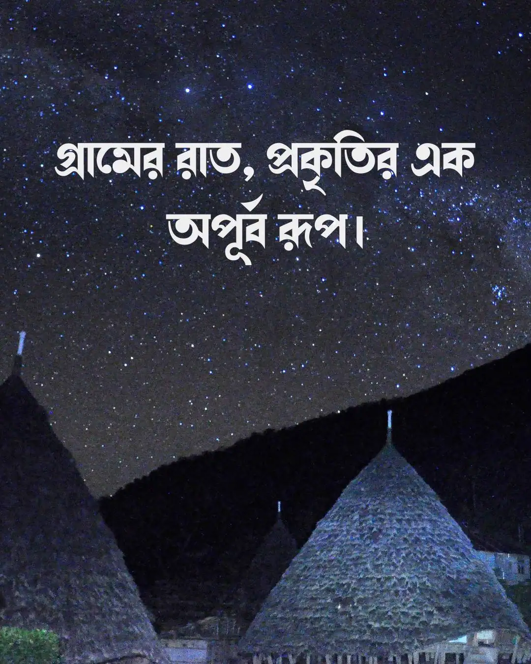 গ্রামের রাতের প্রকৃতি