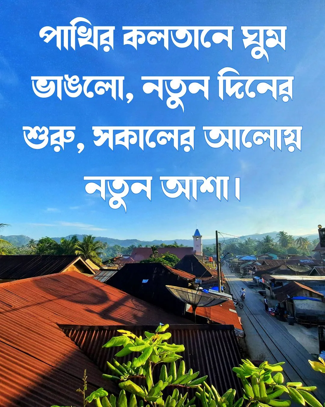 গ্রামের সকালের সৌন্দর্য ছবি