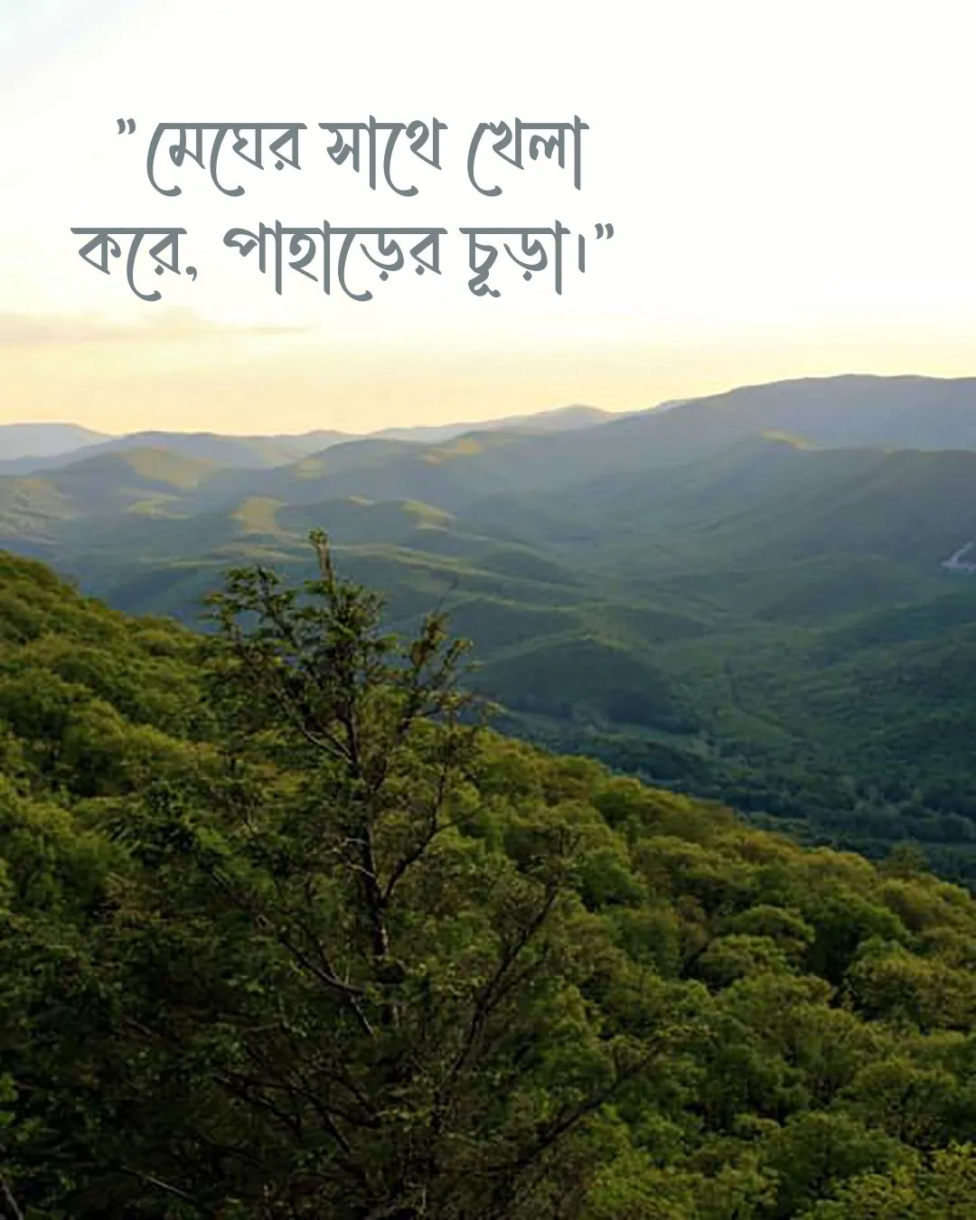 300+ মন কারা সুন্দর কিছু প্রকৃতি নিয়ে ক্যাপশন 2024 27 পাহাড় প্রকৃতি নিয়ে ক্যাপশন ও ছবি