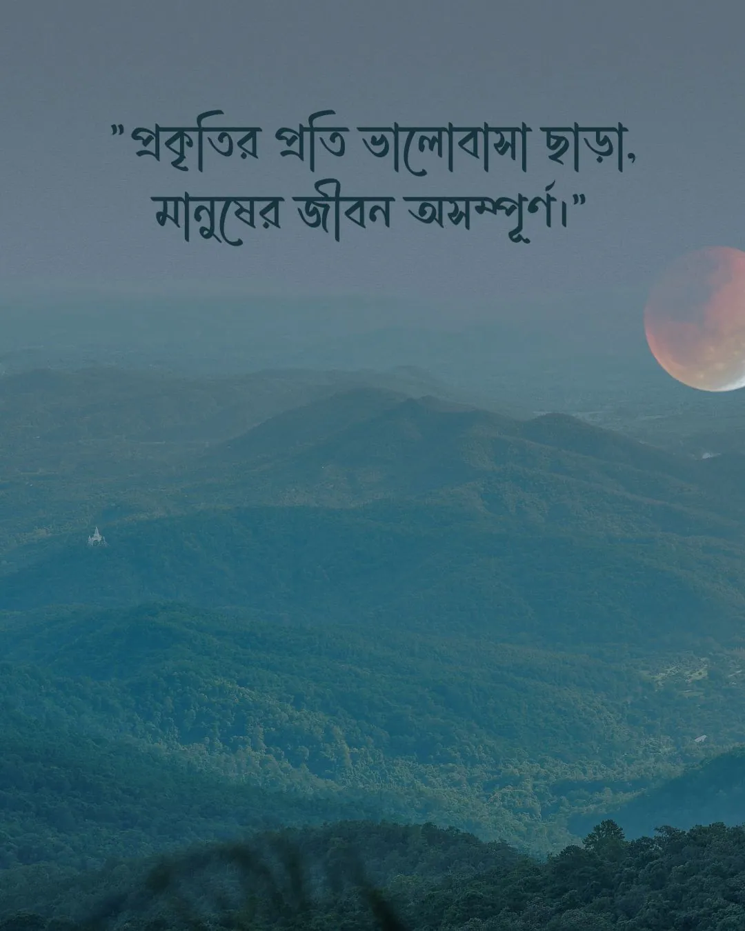 300+ মন কারা সুন্দর কিছু প্রকৃতি নিয়ে ক্যাপশন 2024 11 প্রকৃতি নিয়ে উক্তি ও ছবি ৩