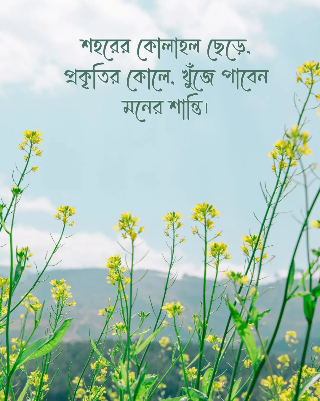 300+ মন কারা সুন্দর কিছু প্রকৃতি নিয়ে ক্যাপশন 2024 5 প্রকৃতি নিয়ে ক্যাপশন ও ছবি ৪