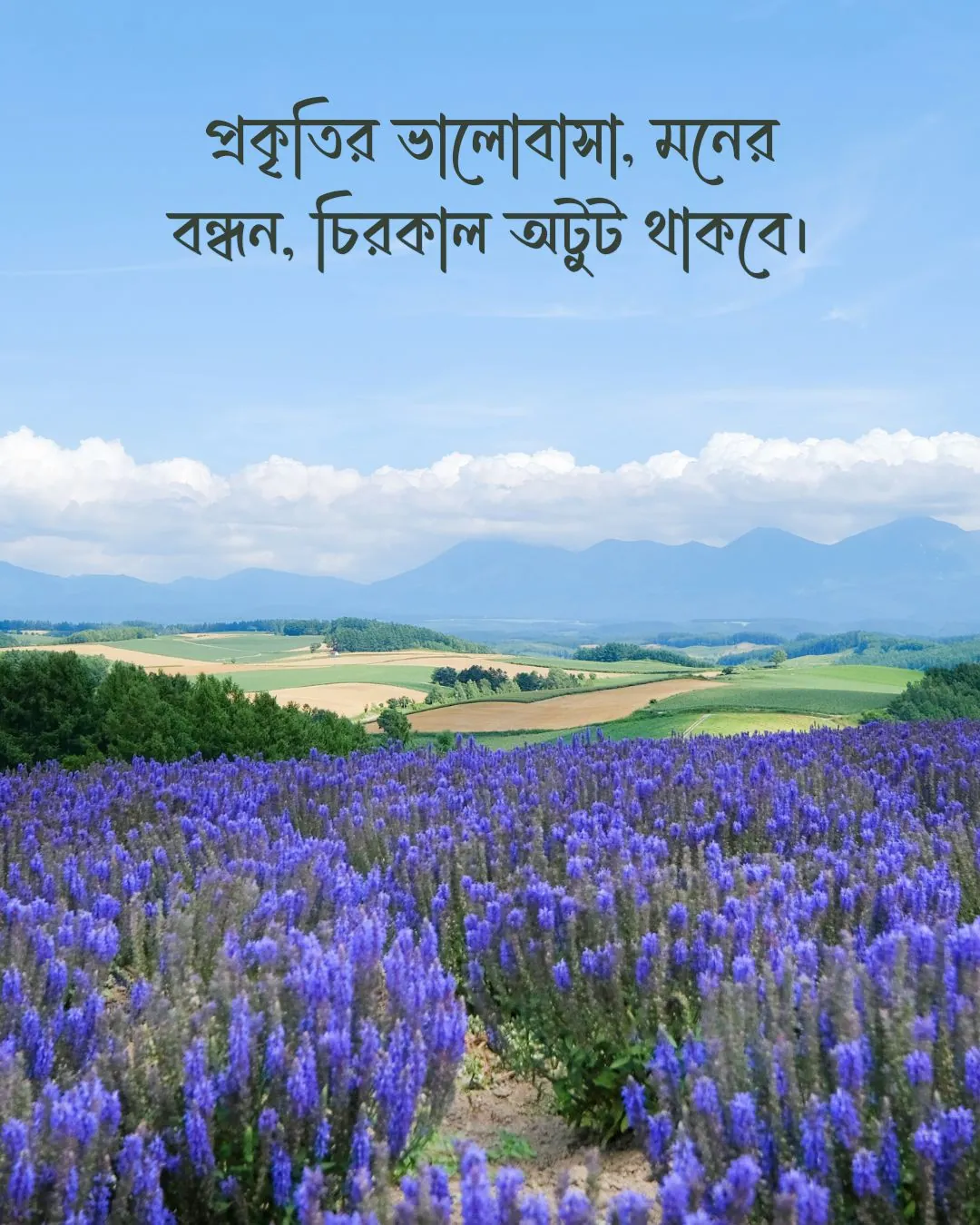 300+ মন কারা সুন্দর কিছু প্রকৃতি নিয়ে ক্যাপশন 2024 6 প্রকৃতি নিয়ে ক্যাপশন ও ছবি ৫