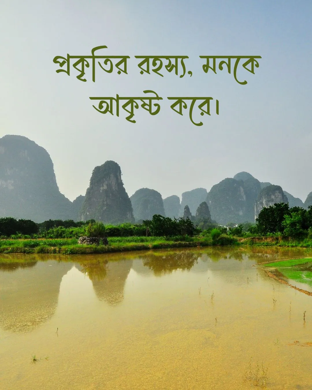 300+ মন কারা সুন্দর কিছু প্রকৃতি নিয়ে ক্যাপশন 2024 2 প্রকৃতি নিয়ে ক্যাপশন ও ছবি 1