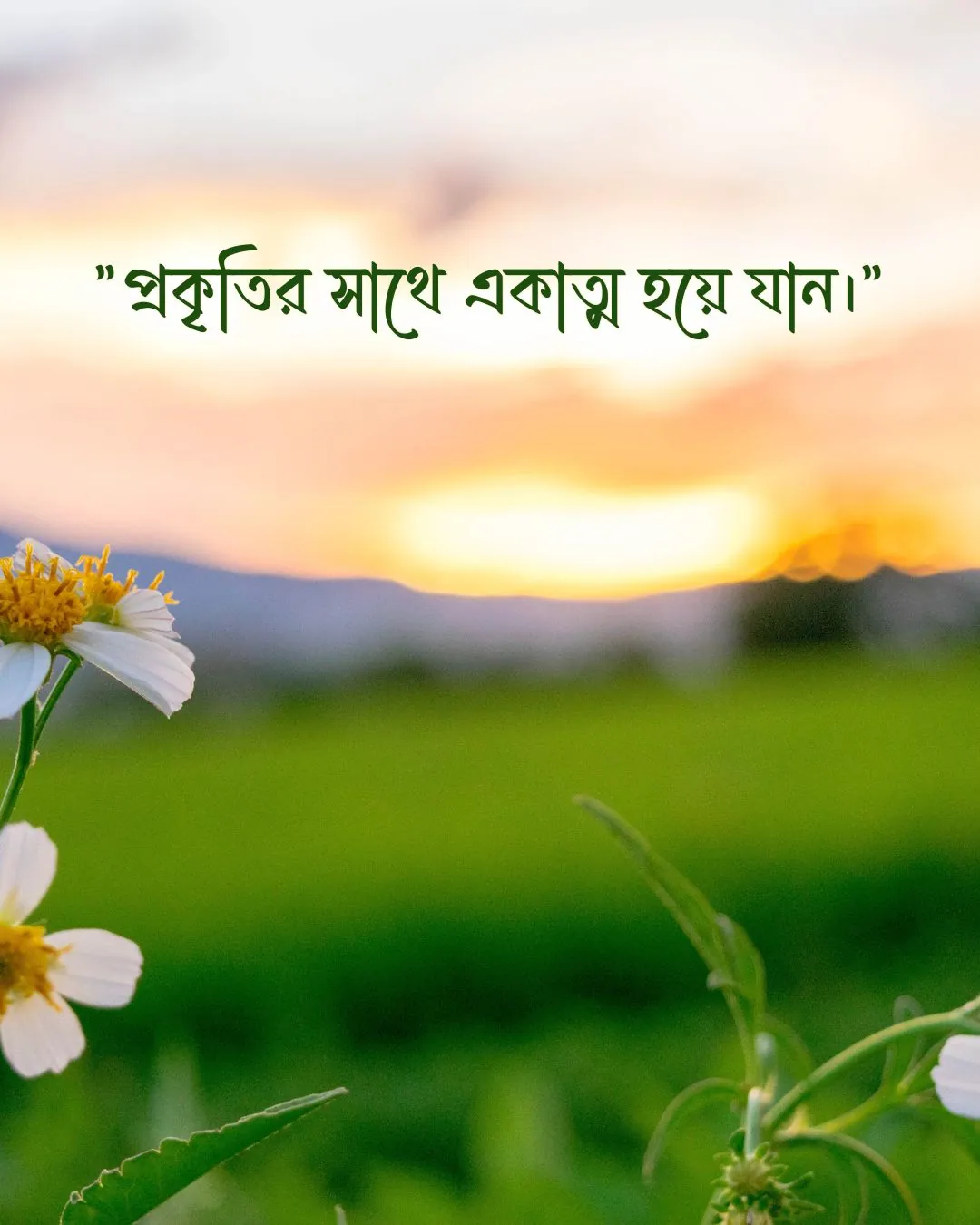 300+ মন কারা সুন্দর কিছু প্রকৃতি নিয়ে ক্যাপশন 2024 21 প্রকৃতি নিয়ে ফেসবুক ক্যাপশন ও ছবি 2