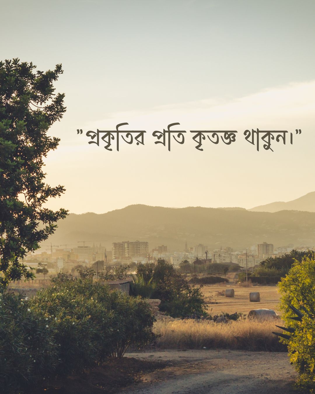 300+ মন কারা সুন্দর কিছু প্রকৃতি নিয়ে ক্যাপশন 2024 22 প্রকৃতি নিয়ে ফেসবুক ক্যাপশন ও ছবি 3