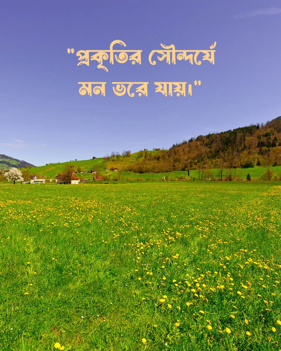 300+ মন কারা সুন্দর কিছু প্রকৃতি নিয়ে ক্যাপশন 2024 19 প্রকৃতি নিয়ে ফেসবুক ক্যাপশন ও ছবি