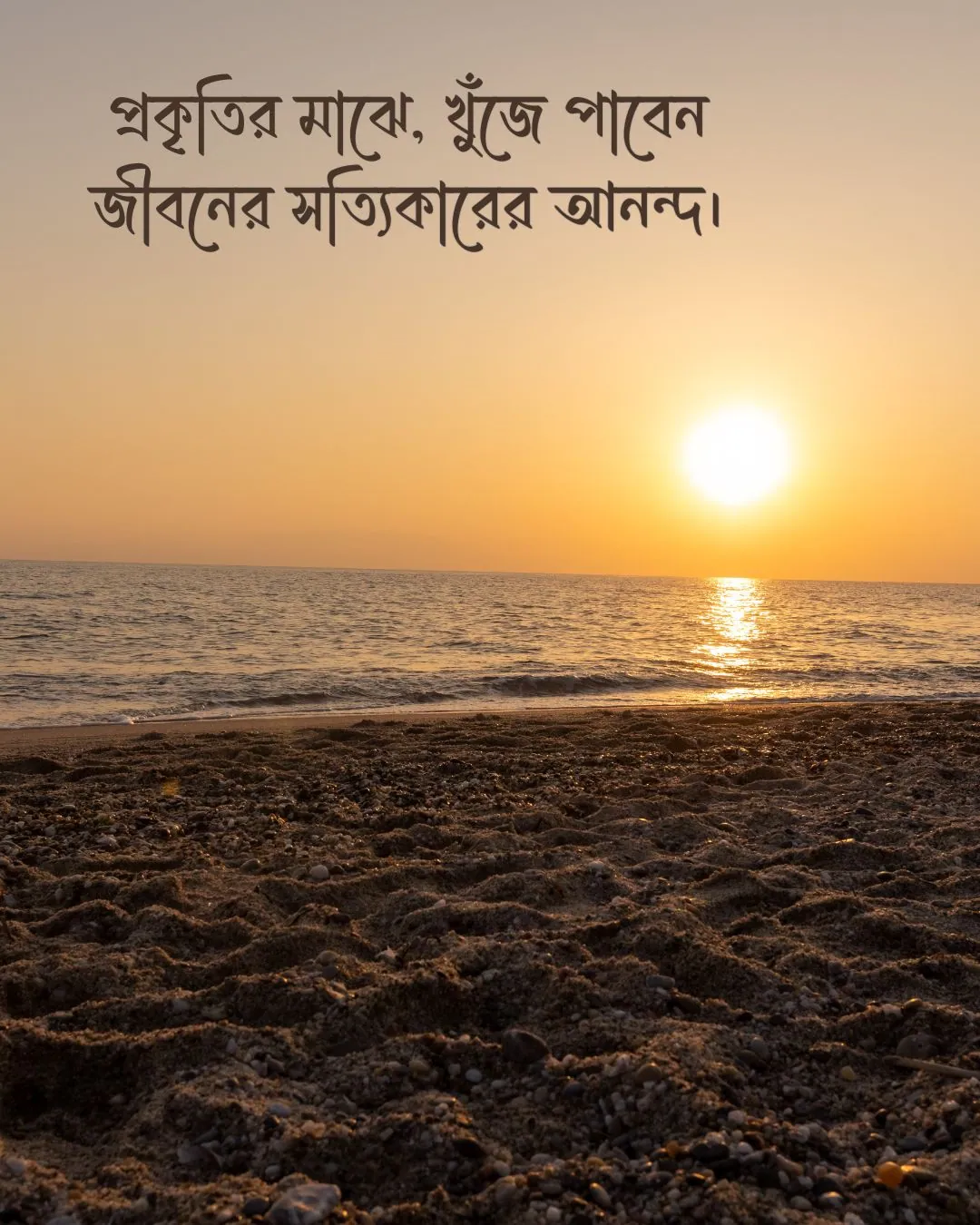 300+ মন কারা সুন্দর কিছু প্রকৃতি নিয়ে ক্যাপশন 2024 9 প্রকৃতি নিয়ে স্ট্যাটাস ও ছবি ৩