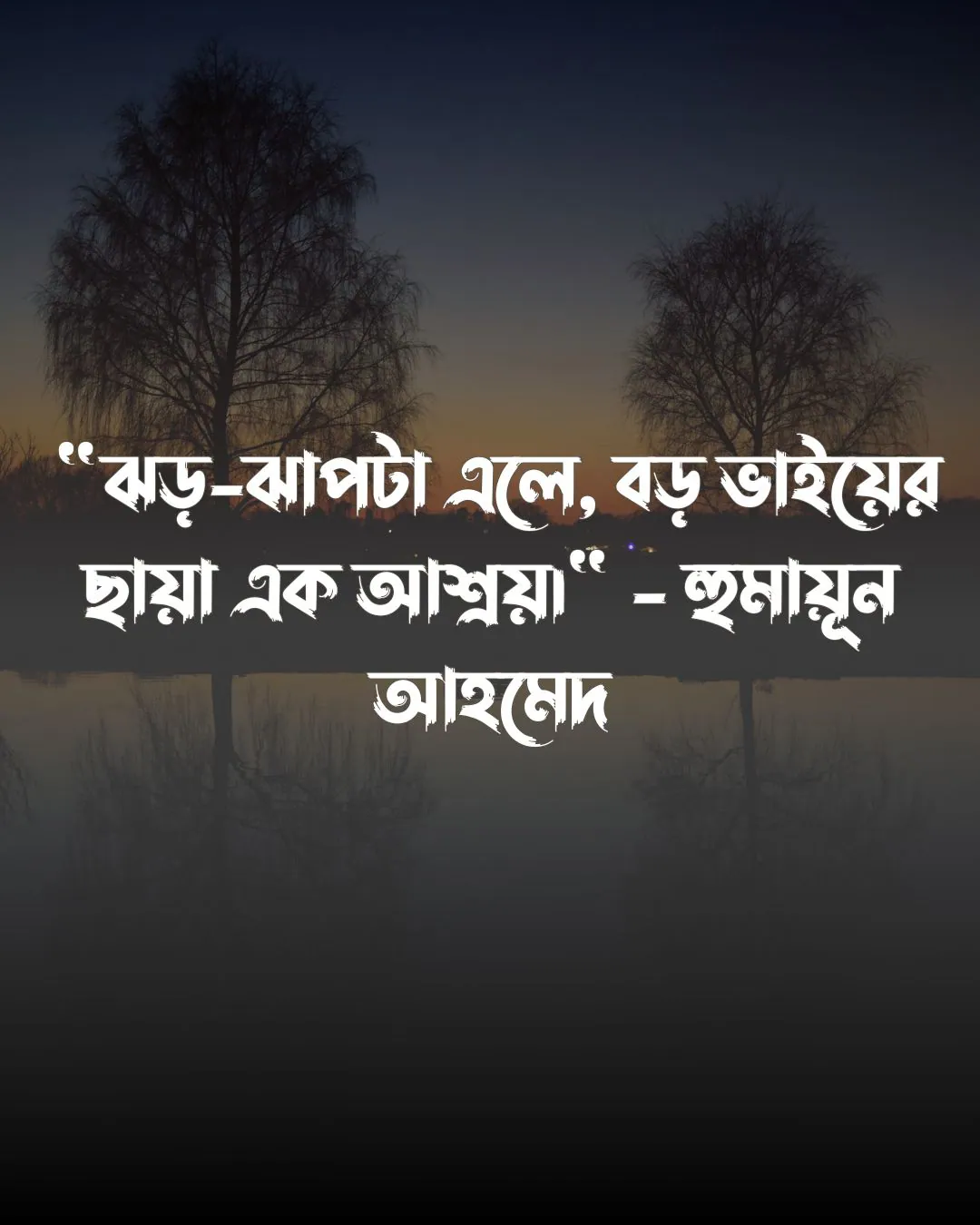 বড় ভাইকে নিয়ে উক্তি ও পিক 2