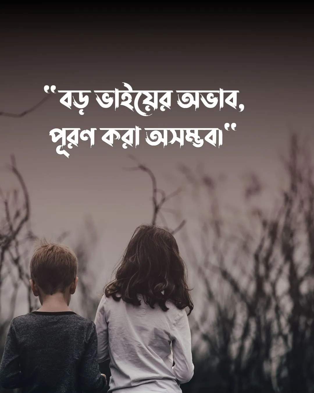 বড় ভাইকে নিয়ে কষ্টের স্ট্যাটাস ও পিক (1)