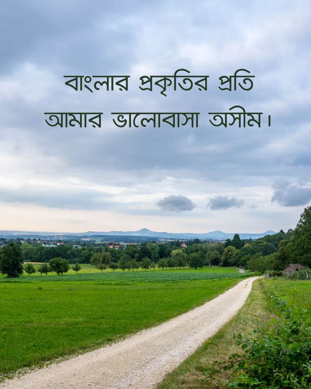 300+ মন কারা সুন্দর কিছু প্রকৃতি নিয়ে ক্যাপশন 2024 15 বাংলার প্রকৃতি নিয়ে ক্যাপশন ও ছবি 1
