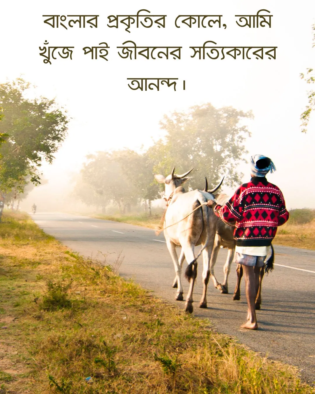 বাংলার প্রকৃতি নিয়ে ক্যাপশন ও ছবি 2