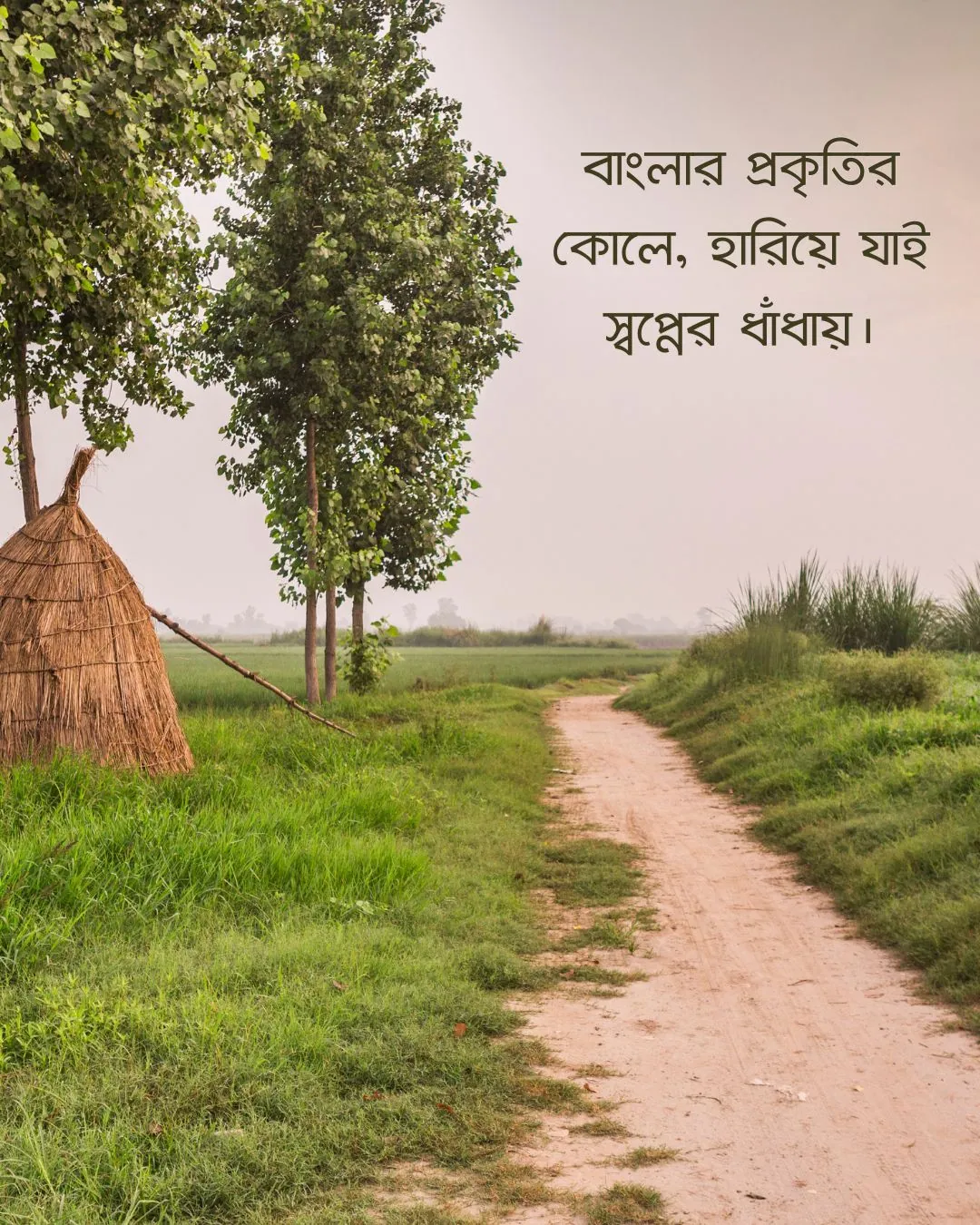 300+ মন কারা সুন্দর কিছু প্রকৃতি নিয়ে ক্যাপশন 2024 17 বাংলার প্রকৃতি নিয়ে ক্যাপশন ও ছবি 3