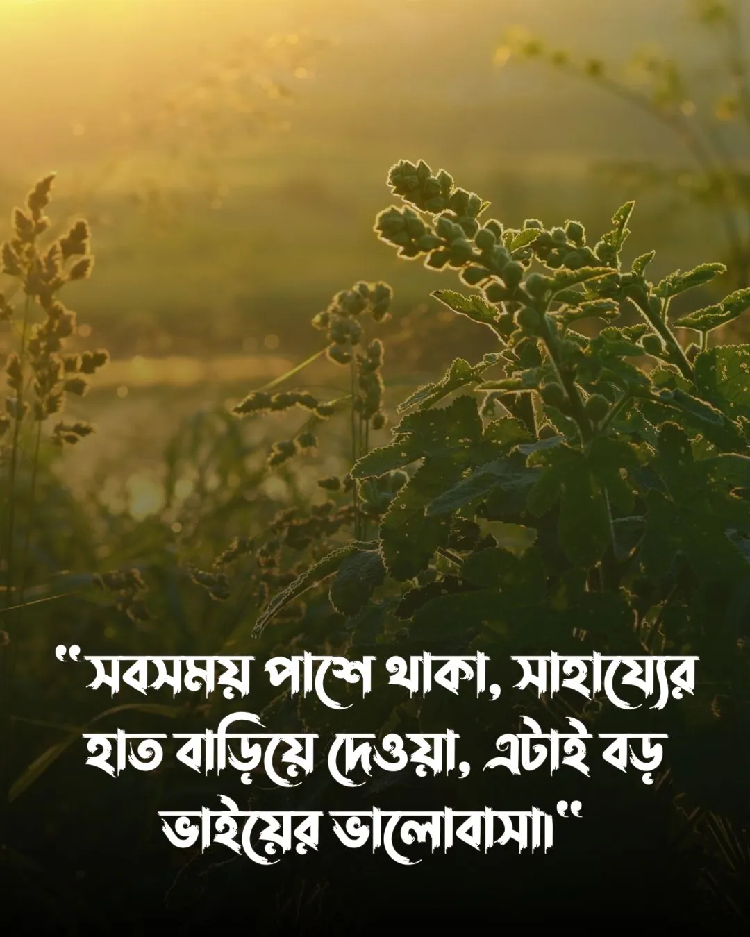 ভালোবাসার আরেক নাম বড় ভাই ও পিক