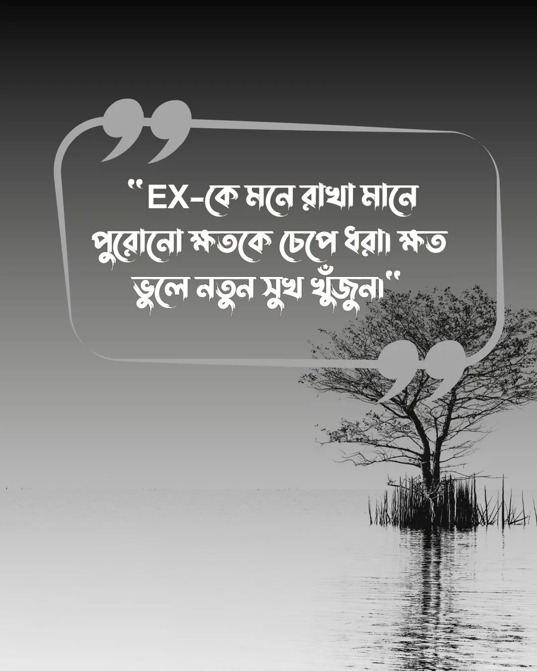 প্রাক্তন নিয়ে ক্যাপশন, স্ট্যাটাস, উক্তি ও ছবি ২০২৪ 25 Ex কে নিয়ে ক্যাপশন ফানি ও পিক 1 (2)