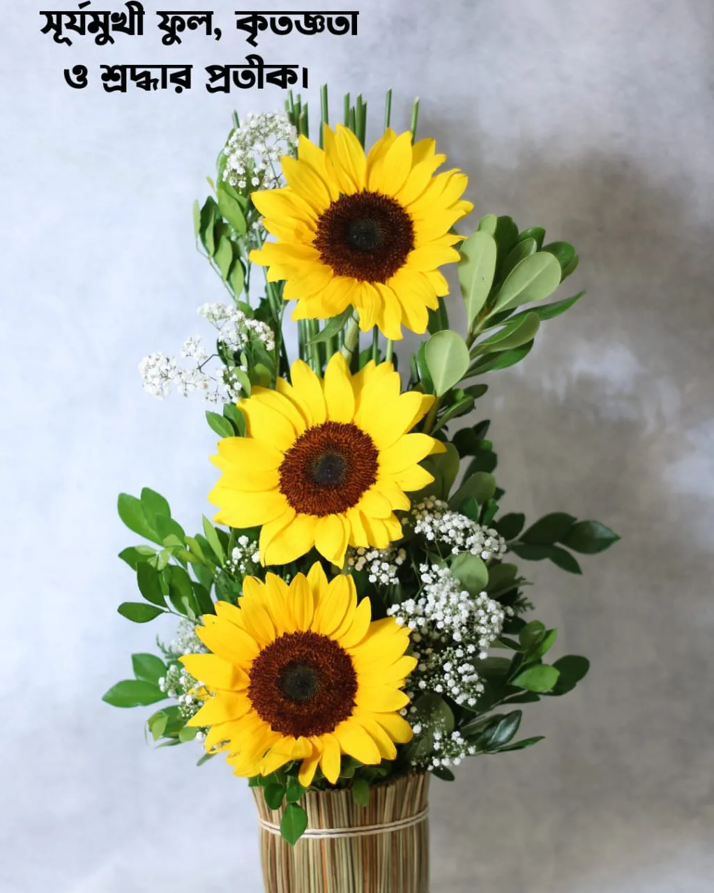 200+ সুন্দর ফুল নিয়ে ক্যাপশন Flower Caption Bangla- 2024 70 সূর্যমুখী ফুল নিয়ে ক্যাপশন এবং ছবি ৫