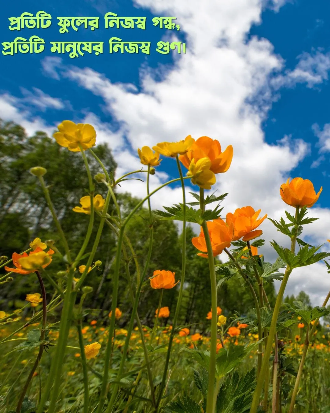 200+ সুন্দর ফুল নিয়ে ক্যাপশন Flower Caption Bangla- 2024 30 IMG 20240206 WA0001