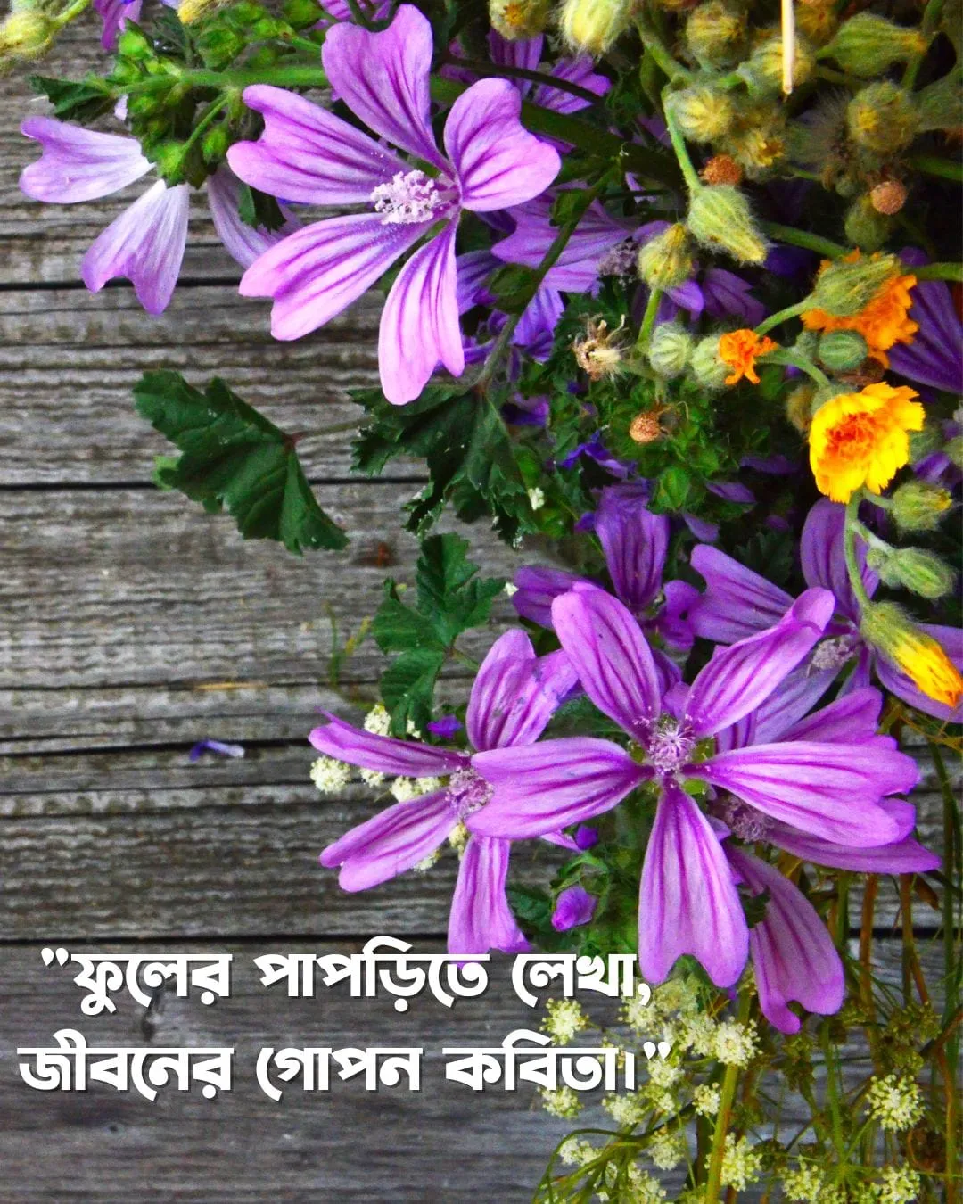 200+ সুন্দর ফুল নিয়ে ক্যাপশন Flower Caption Bangla- 2024 23 একটি কাঠের টেবিলে বেগুনি ফুলের তোড়ার ছবি। ফুলের পাপড়িতে বাংলায় লেখা আছে, "ফুলের পাপড়িতে লেখা, জীবনের গোপন কবিতা।"