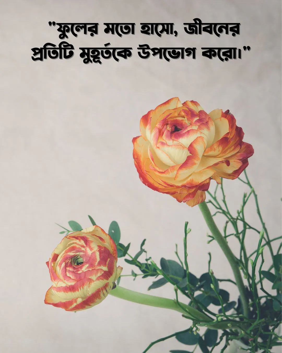 200+ সুন্দর ফুল নিয়ে ক্যাপশন Flower Caption Bangla- 2024 22 একটি ফুলের ছবি, যার উপরে বাংলায় একটি উক্তি রয়েছে। উক্তিটি হল, "ফুলের মতো হাসো, জীবনের প্রতিটি মুহূর্তকে উপভোগ করো।"