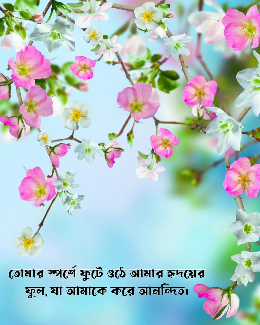 ফুল নিয়ে রোমান্টিক ক্যাপশন ও ছবি ২