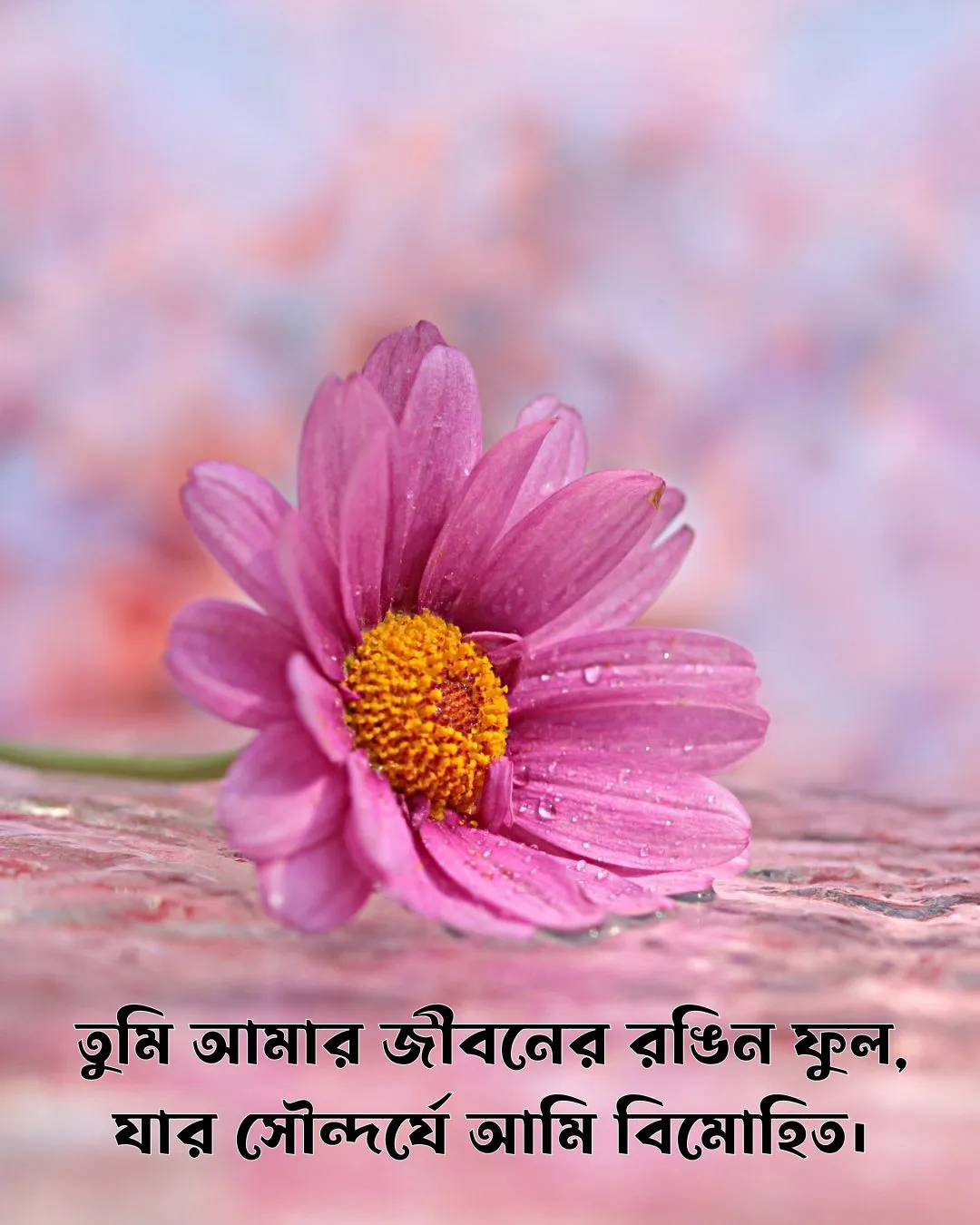 200+ সুন্দর ফুল নিয়ে ক্যাপশন Flower Caption Bangla- 2024 33 ফুল নিয়ে রোমান্টিক ক্যাপশন ও ছবি ৩