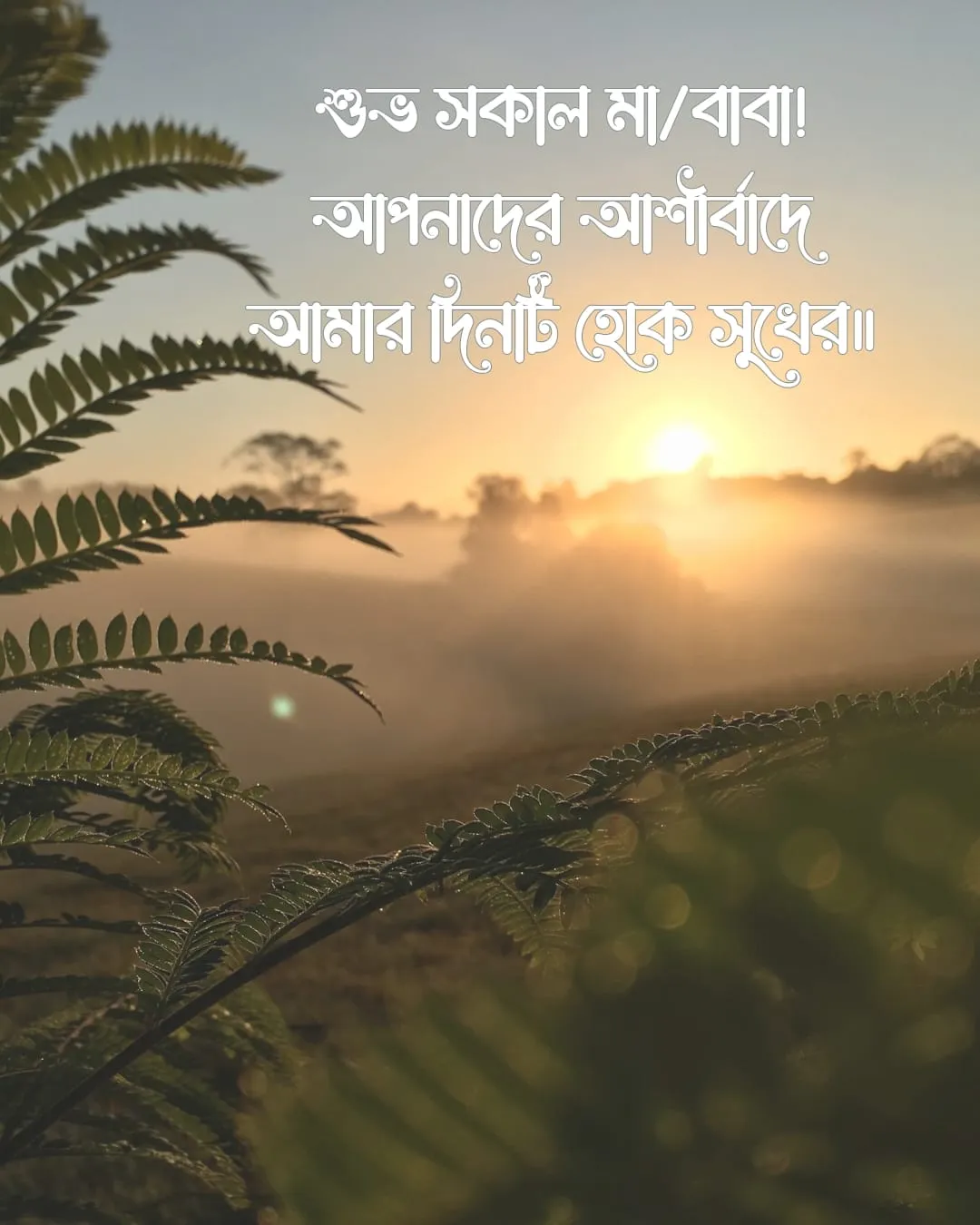 শুভ সকাল মেসেজ ও ছবি ২