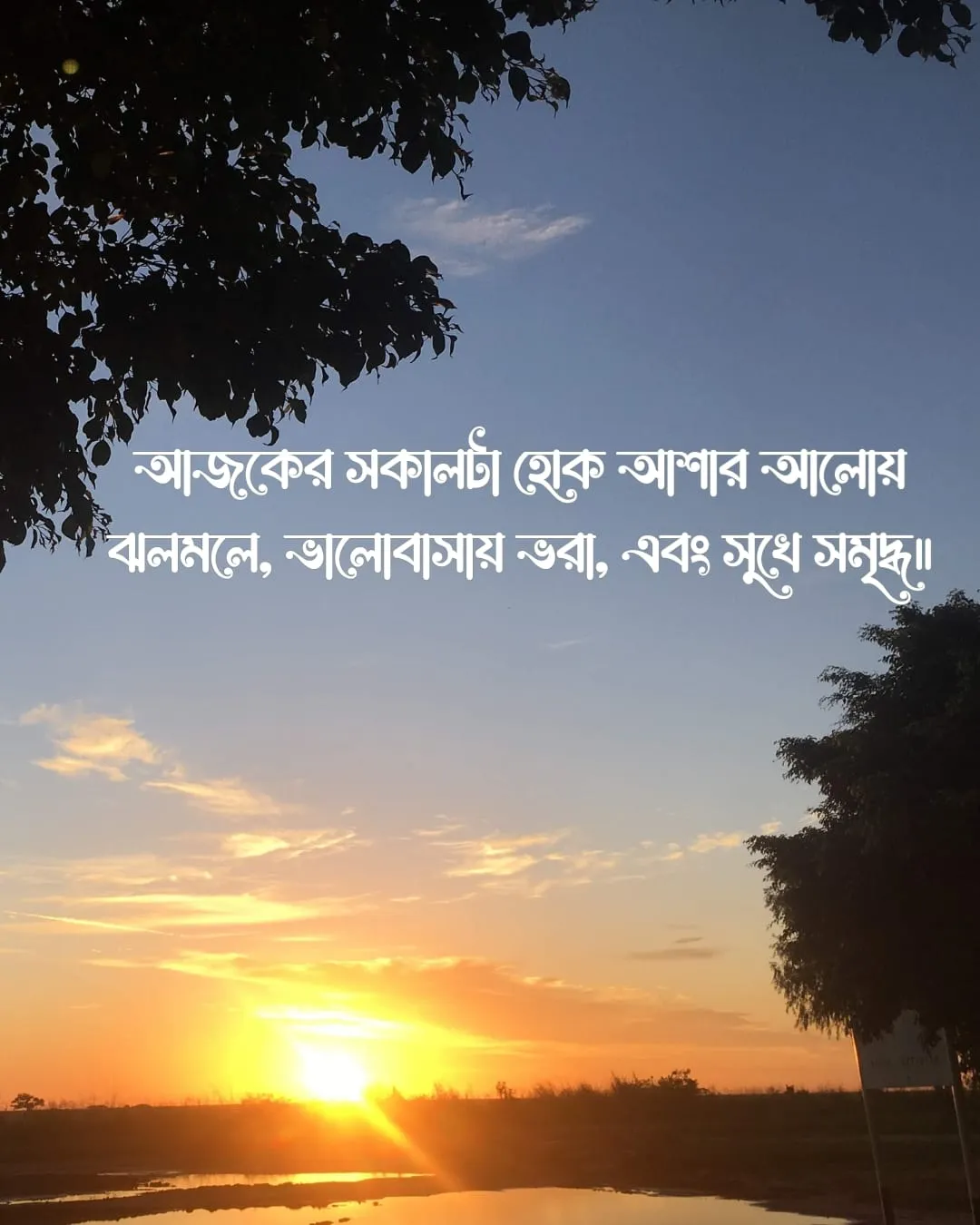 শুভ সকাল স্ট্যাটাস ও ছবি ৬