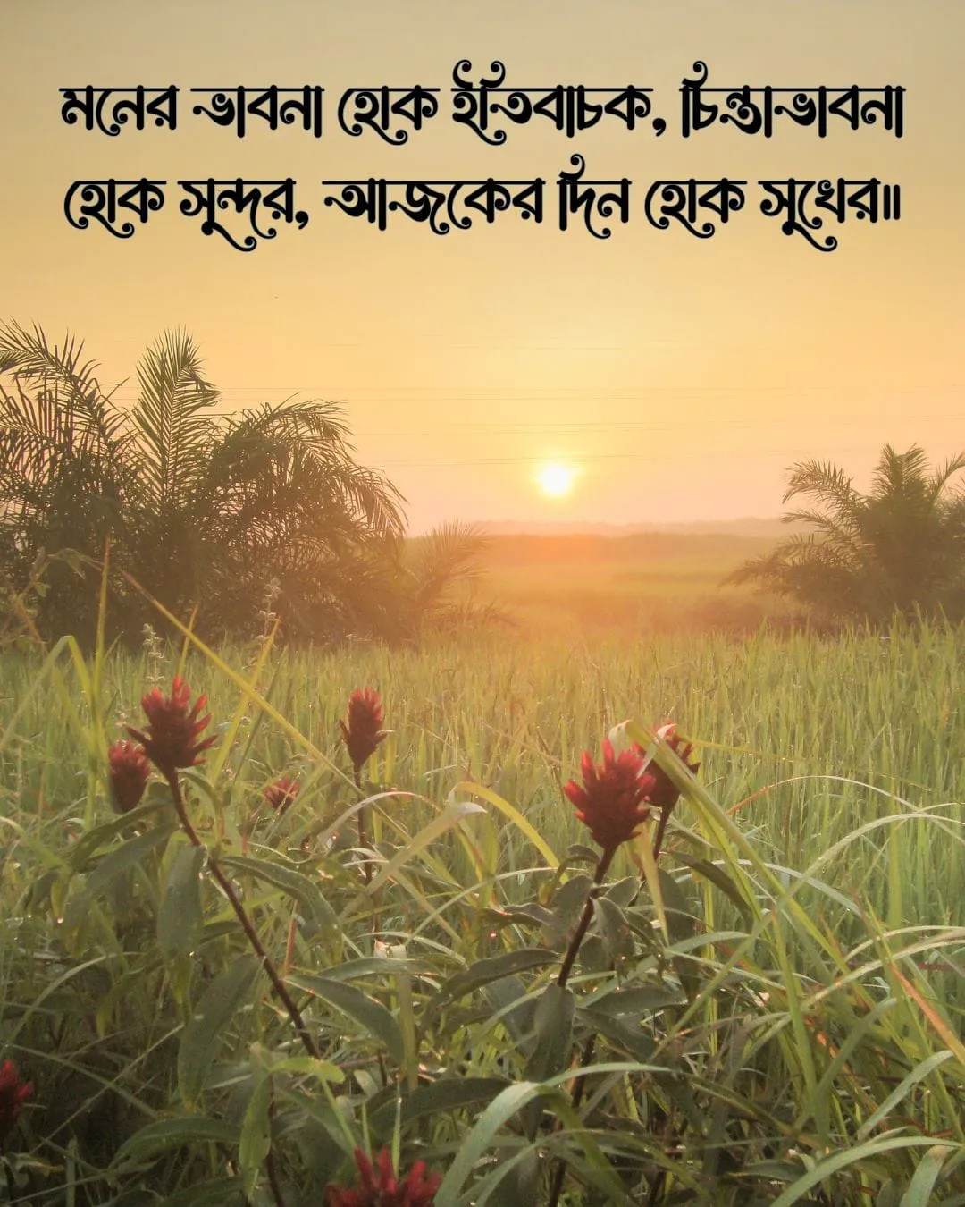 শুভ সকাল স্ট্যাটাস ও ছবি ৩