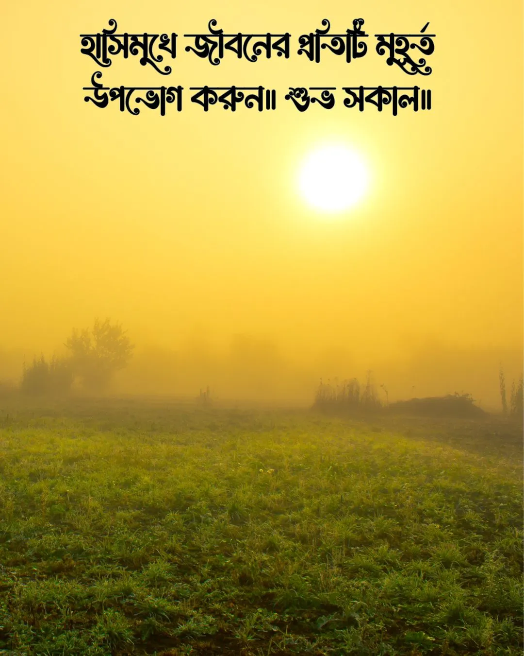 শুভ সকাল স্ট্যাটাস ও ছবি ২