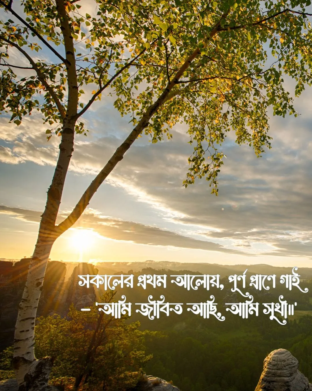 শুভ সকাল স্ট্যাটাস ও ছবি ১