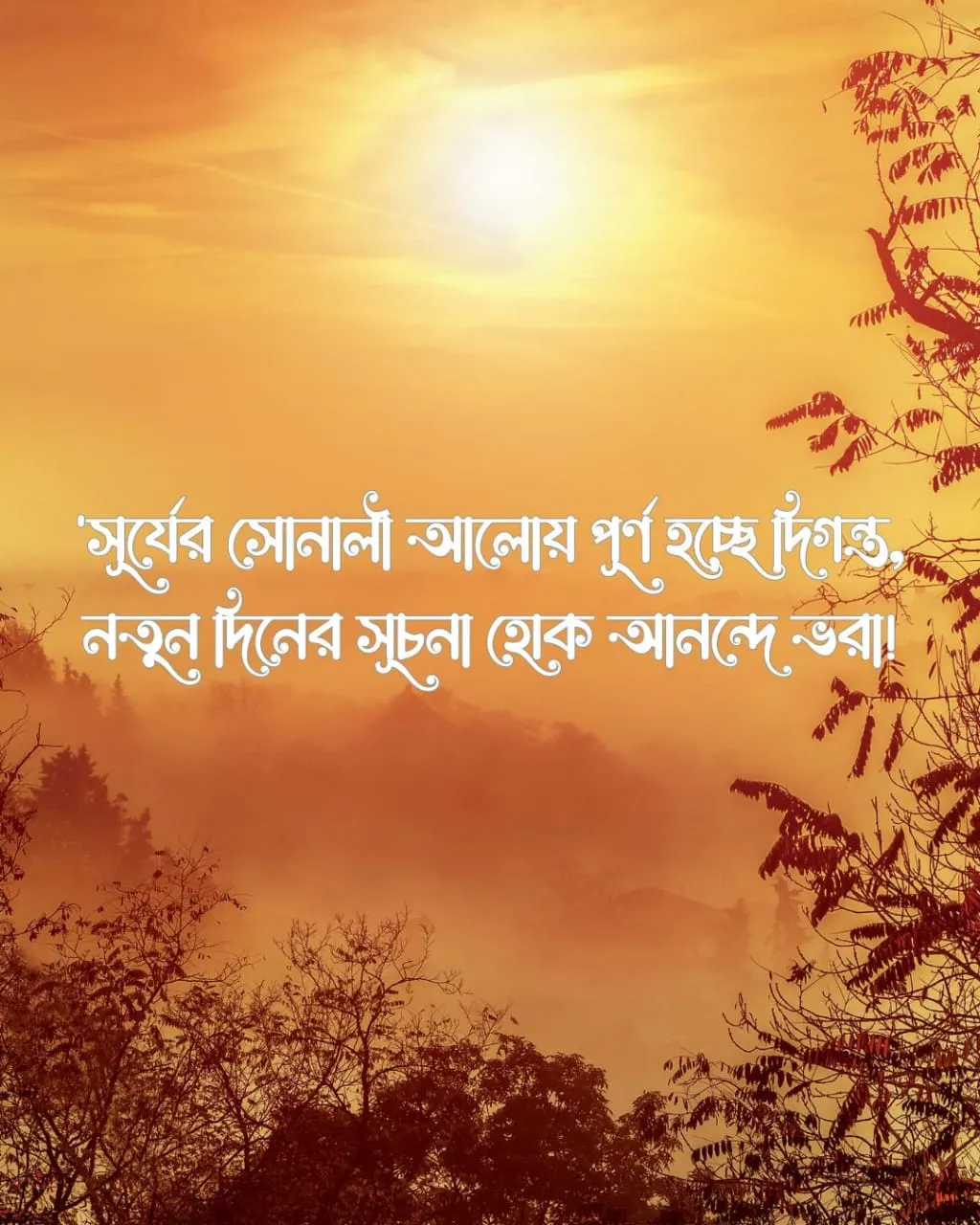 শুভ সকাল ক্যাপশন ও ছবি ১