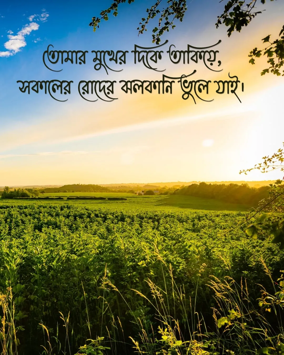 শুভ সকাল রোমান্টিক মেসেজ ও ছবি ২