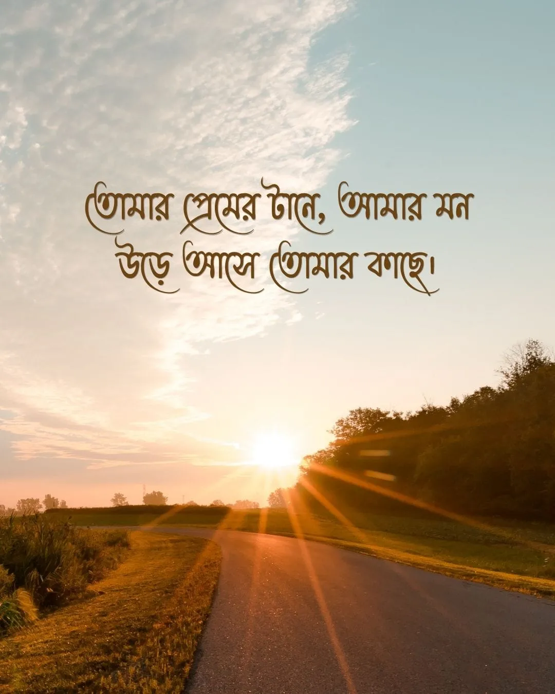 শুভ সকাল রোমান্টিক মেসেজ ও ছবি ৩