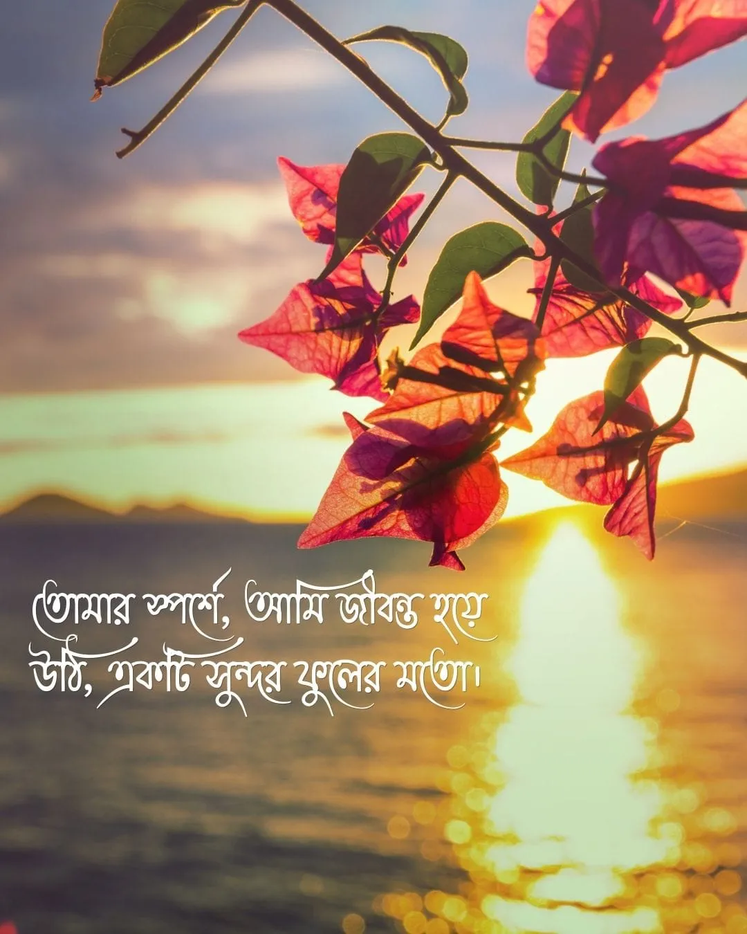 শুভ সকাল রোমান্টিক মেসেজ ও ছবি ৬