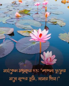 শাপলা ফুল নিয়ে উক্তি ও ছবি 1