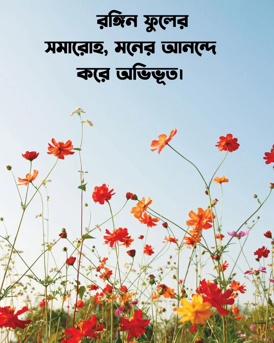 ফুল নিয়ে ক্যাপশন ও ছবি ৬