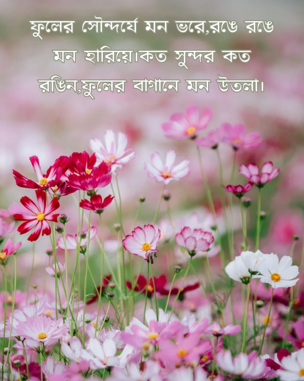 200+ সুন্দর ফুল নিয়ে ক্যাপশন Flower Caption Bangla- 2024 74 ফুল নিয়ে ছন্দ