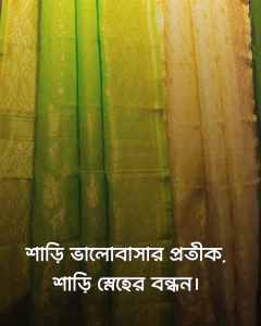 শাড়ি নিয়ে ক্যাপশন ও ছবি ৭